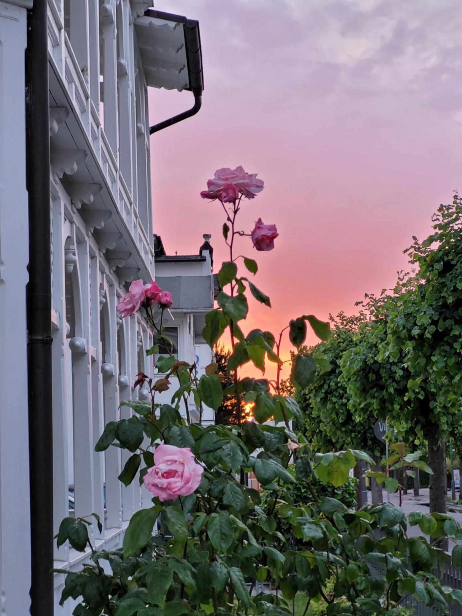 Hotel Villa Meeresgruss Binz Kültér fotó